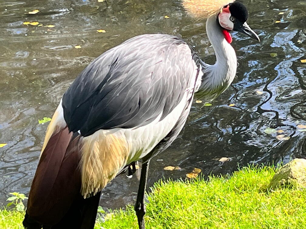 23-09-22 12-37-26 7262